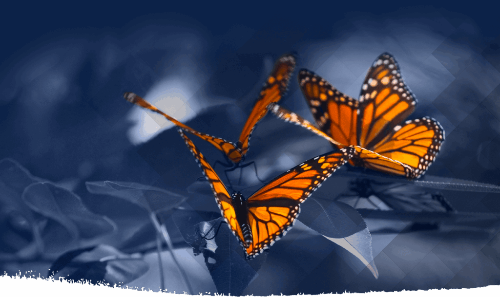 gestion des relations difficile avec les associés,