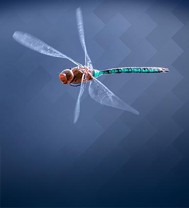 Étude de cas : Sûreté des bâtiments