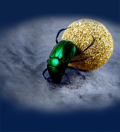 Étude de cas : Communication et média