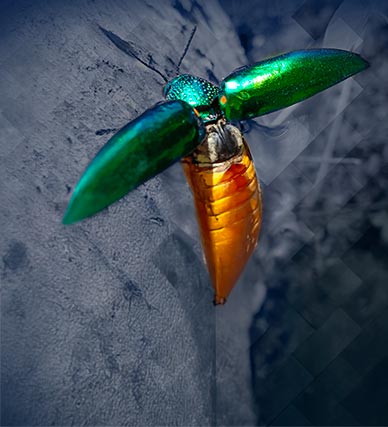 Étude de cas : E-commerce