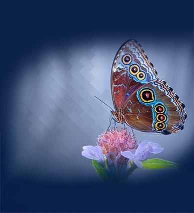 Étude de cas : Industrie plastique