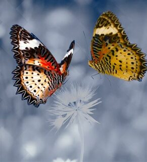 Étude de cas : Plasturgie