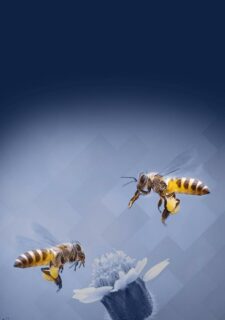 Accompagnement stratégique pour les entreprises