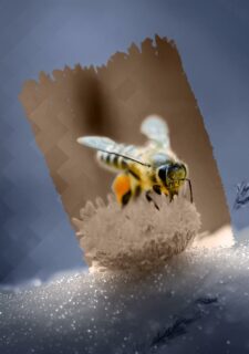 Nous proposons des réponses pragmatiques et applicables