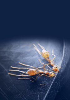 Chaque projet est une nouvelle histoire de réussite à écrire qui s’appuie toujours sur des savoir-faire solides