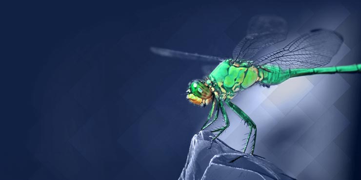 Gestion des relations difficiles