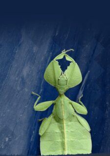 Nous proposons des réponses pragmatiques et applicables