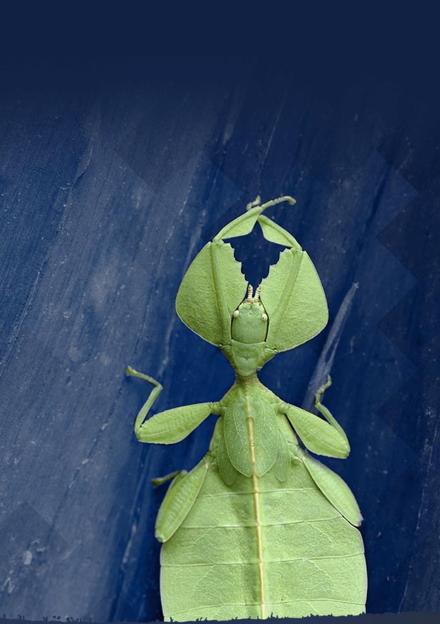 Nous proposons des réponses pragmatiques et applicables