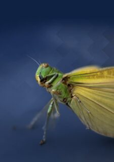 Nous vous aidons à cerner avec précision les enjeux de votre entreprise