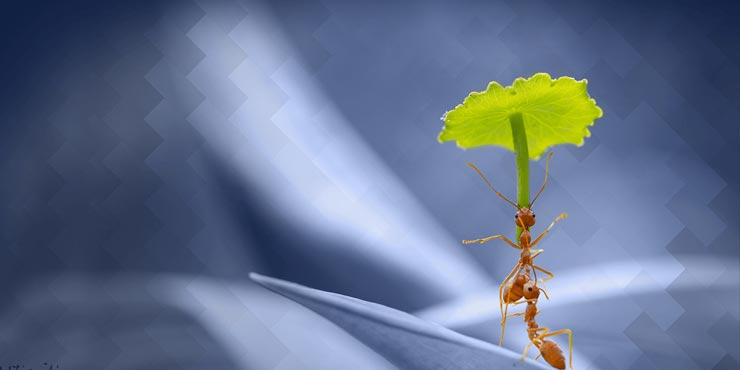 Les Négociations Invisibles