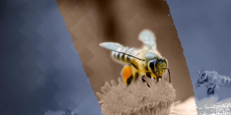 Un plan clair pour réorienter votre offre vers la valeur et la marge, optimiser le fonds de roulement et anticiper les flux de trésorerie.