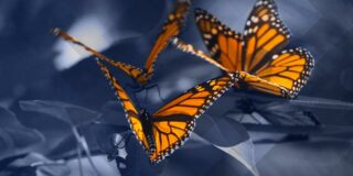 La transmission de votre PME est une étape cruciale qui nécessite une préparation minutieuse.