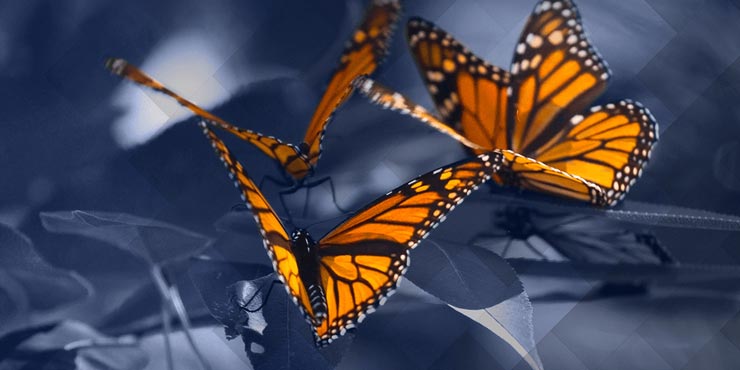 La transmission de votre PME est une étape cruciale qui nécessite une préparation minutieuse.