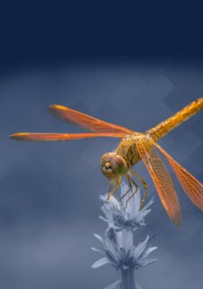 Chaque projet est une nouvelle histoire de réussite à écrire qui s’appuie toujours sur des savoir-faire solides