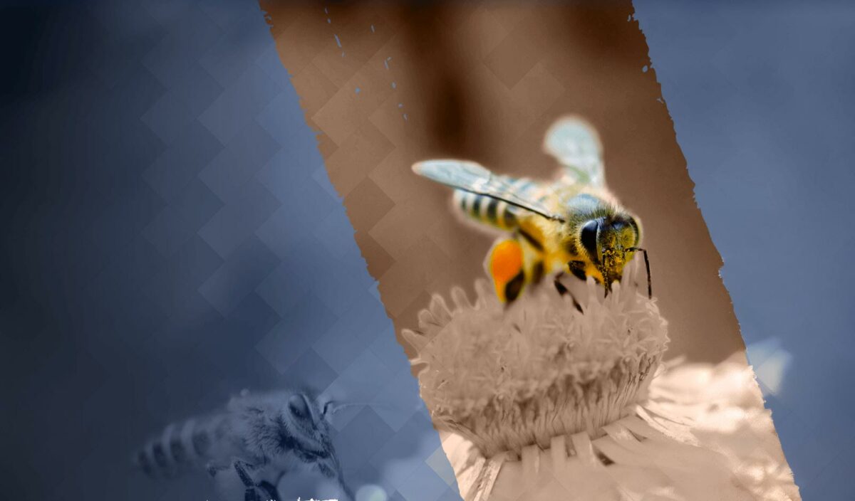 Vous, dirigeant de PME